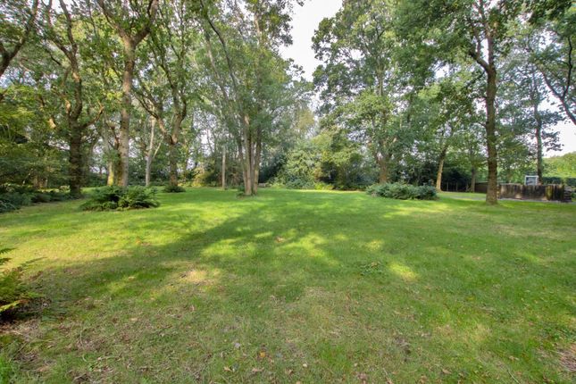 Lot 2 - Holiday Lets - Chalksole Manor, Alkham, Alkham photo 2