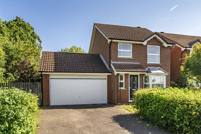 Thumbnail Detached house to rent in Thorngrove Avenue, Solihull