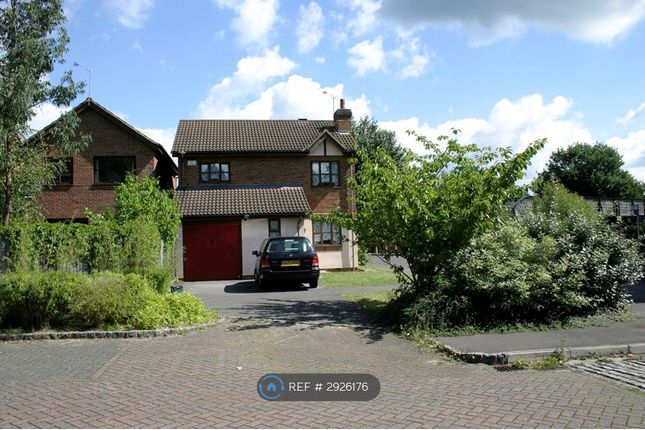 Lory Ridge, Bagshot photo 5