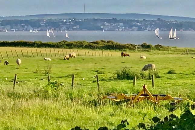 Rural Views.