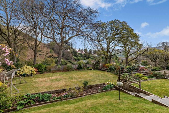 Garden And View