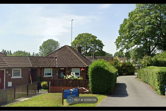 Thumbnail Bungalow to rent in Highfield Road, Widnes