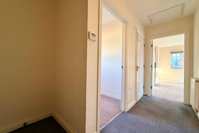 41, Bellflower Close, Plymouth photo 3
