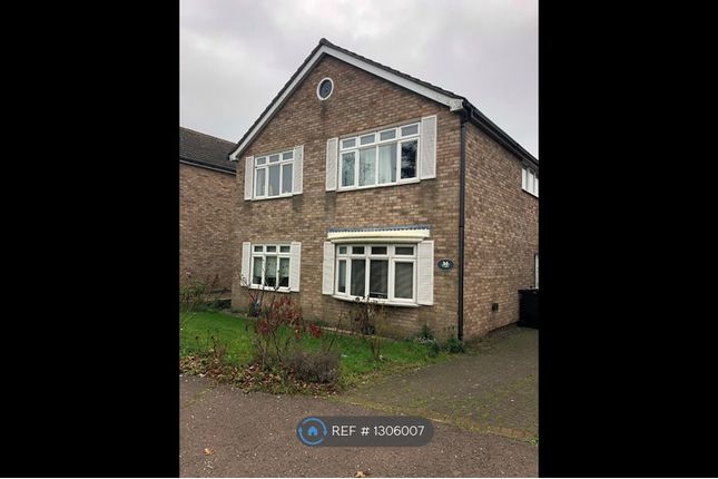 Thumbnail Detached house to rent in Berrimans Close, Colchester