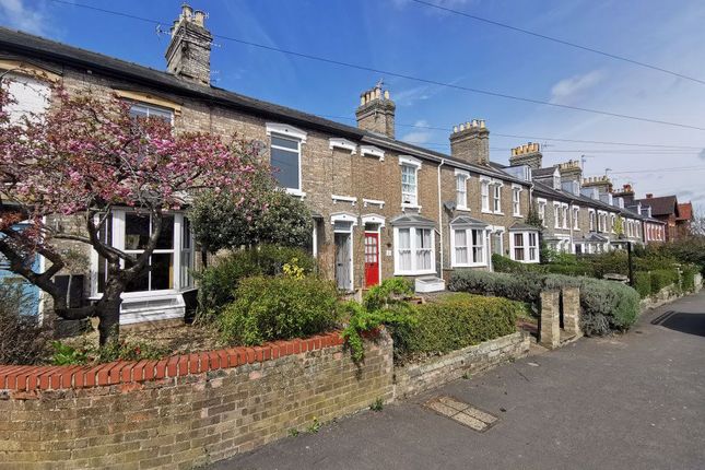 Thumbnail Property to rent in Springfield Road, Bury St. Edmunds