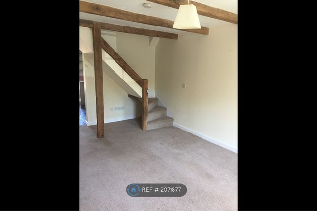 Terraced house to rent in Belgrave Terrace, Exeter