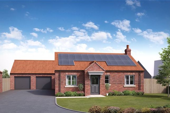 Thumbnail Bungalow for sale in Plot 1, The Willow, Back Lane, Tollerton
