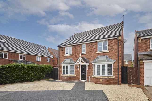 Thumbnail Detached house for sale in Ilfracombe Drive, Redcar