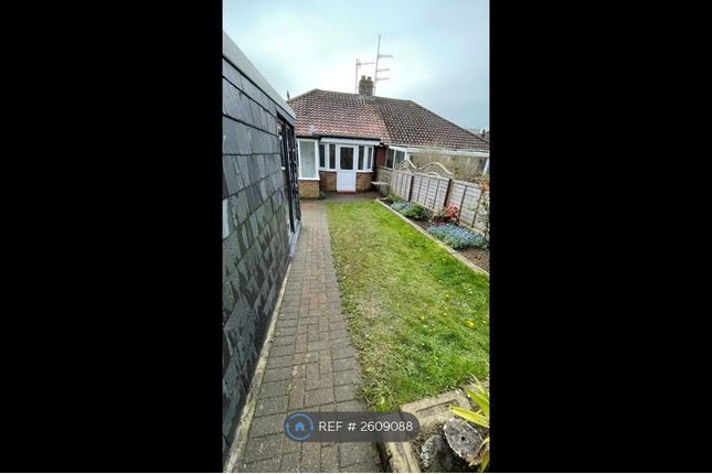 Back Garden