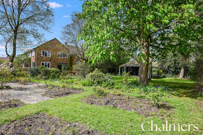 4 High Street, Ingatestone photo 3
