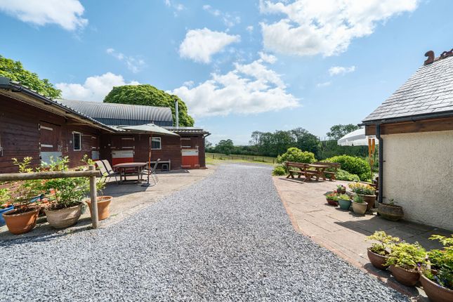 THE BARN, TAVERNSPITE photo 2