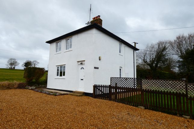 Thumbnail Detached house to rent in Orcheston, Salisbury, Wiltshire