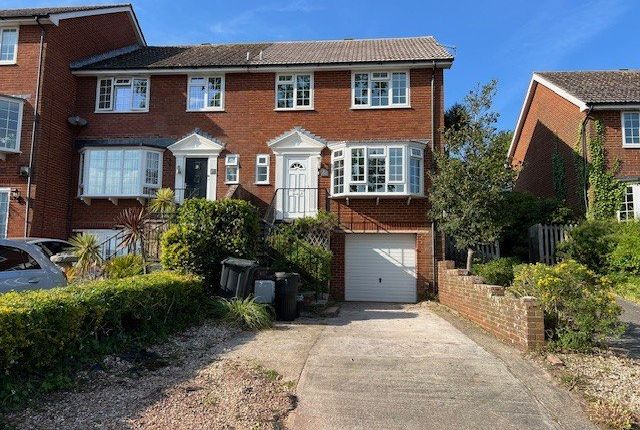 Thumbnail Property to rent in Museum Road, Torquay
