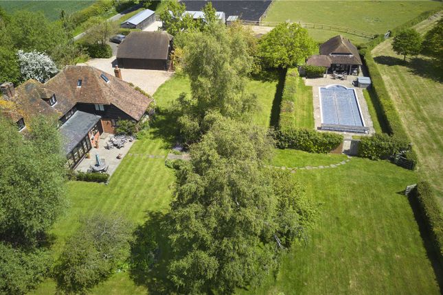 Aerial Shot