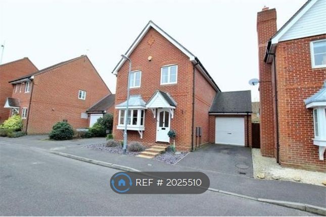 Thumbnail Detached house to rent in Maltings Park Road, West Bergholt, Colchester