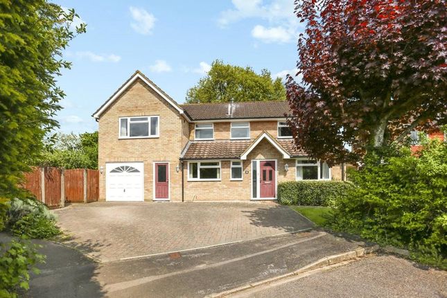 Thumbnail Detached house for sale in The Vale, Oakley