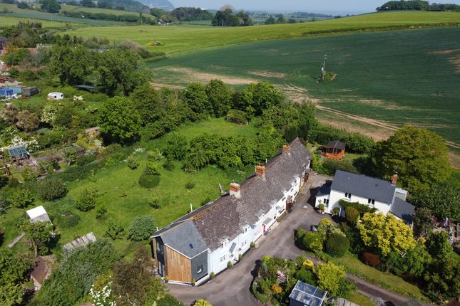 3, Tanyard, Minehead photo 2