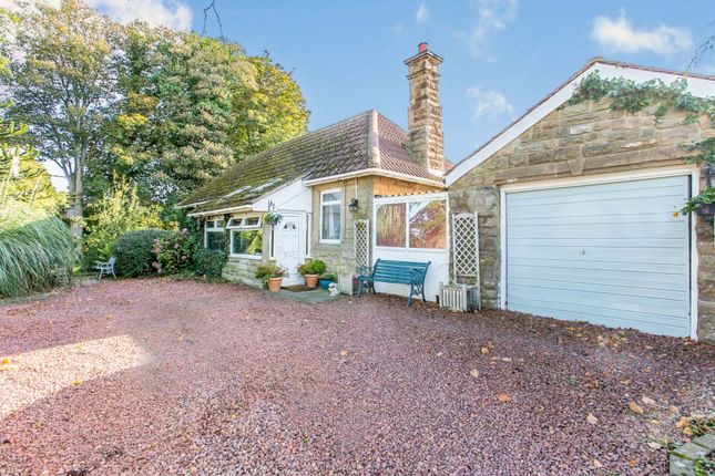 Thumbnail Detached bungalow for sale in Eastfield, Warkworth