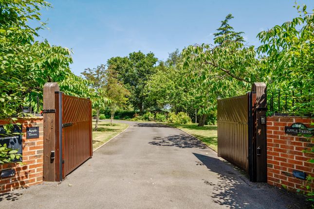Apple Trees, Newtown, Worcester photo 3