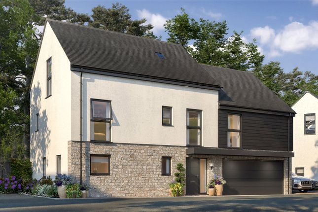 Plot 13, The Cypress