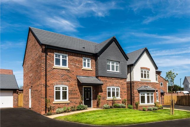 Thumbnail Detached house for sale in "Foxley" at Starflower Way, Mickleover, Derby