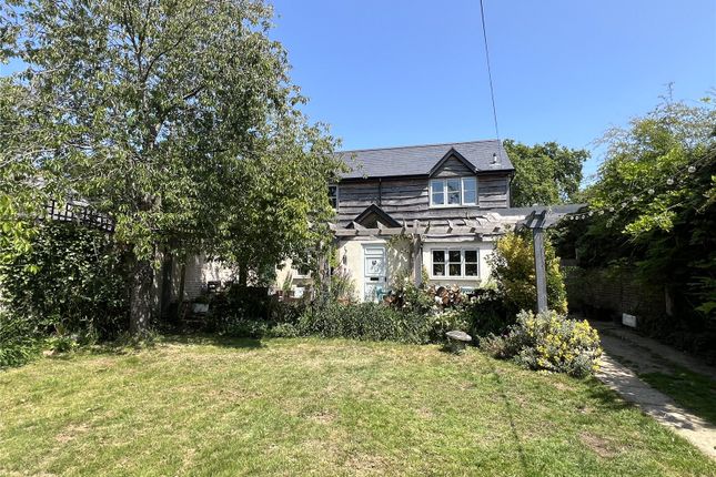 The Property