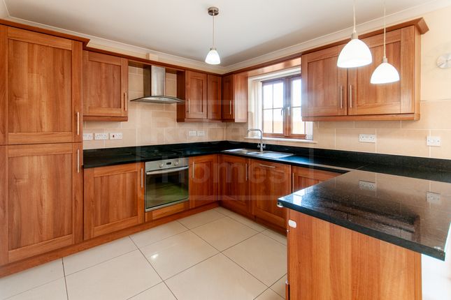 3 Astoria Place, Swansea photo 4