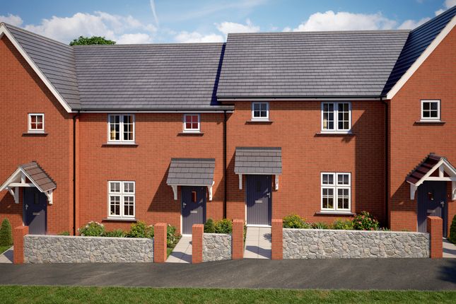 Thumbnail Semi-detached house for sale in Clist Way, Cullompton