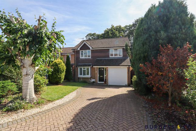 Thumbnail Detached house for sale in Fontwell Avenue, Bexhill-On-Sea