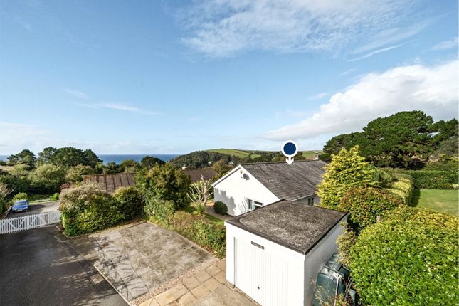 1 - South-Facing Drone