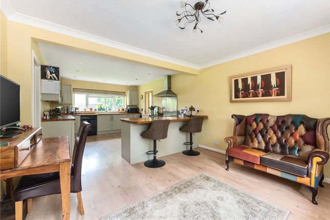 Raun House,, Hound Green, Hampshire photo 4