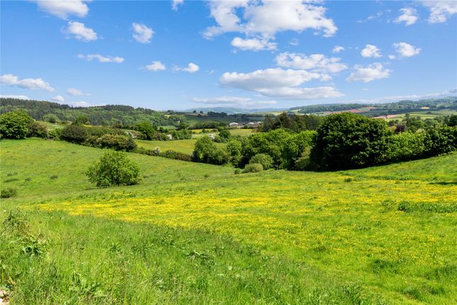 Land And Views