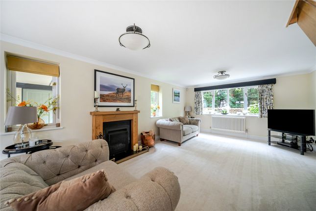 2 Fellside Cottages,, Elm Corner, Surrey photo 4