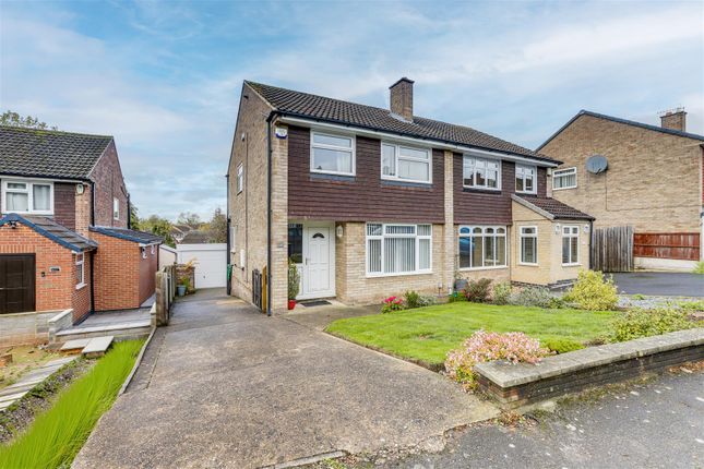 Img_4640-Img_4644 Copy.Jpg