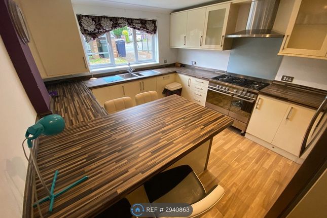 Village Heights, Gateshead photo 5