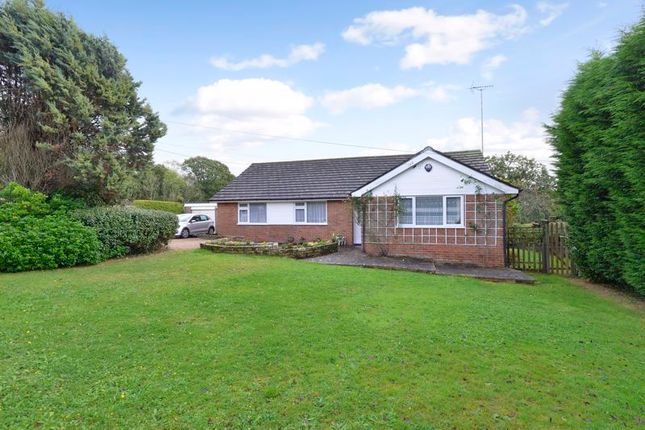 Thumbnail Detached bungalow for sale in Lynwick Street, Rudgwick, Horsham