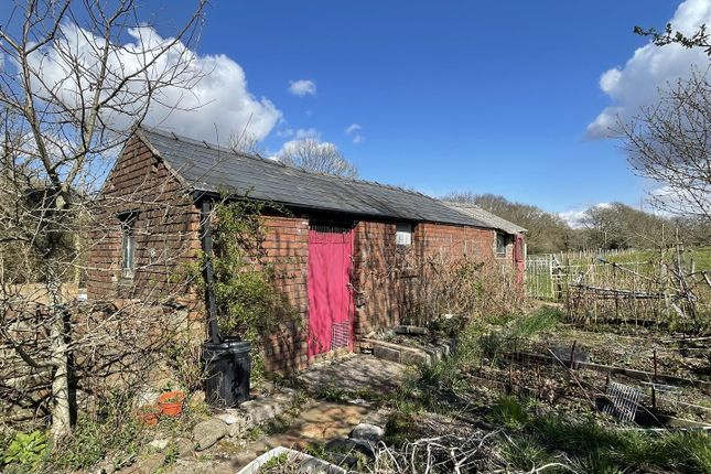 Neuadd, Garnant, Ammanford photo 4