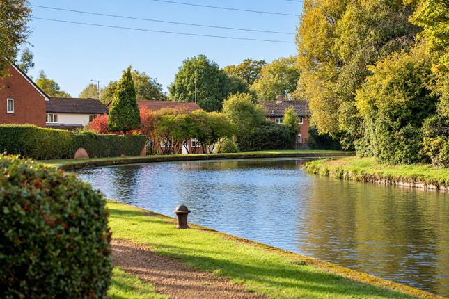 Howard Walk, Warwick photo 2