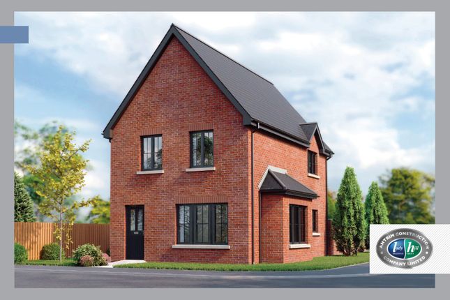 Thumbnail Detached house for sale in Glen Manor, Hightown Road, Newtownabbey