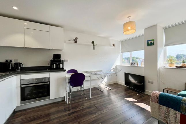 Apt 25, Worcester photo 4