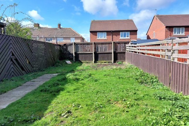 Thumbnail Semi-detached house to rent in Freemantle Grove, Hartlepool