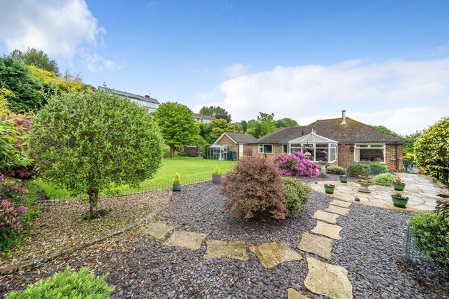 Thumbnail Detached bungalow for sale in Cliff Road, Hythe