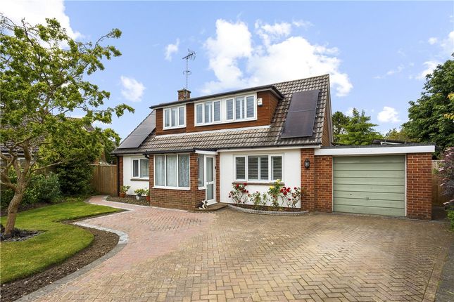 Thumbnail Bungalow for sale in Swan Meadow, Pewsey, Wiltshire