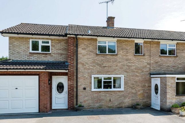 Semi-detached house to rent in Applegarth Avenue, Guildford, Surrey