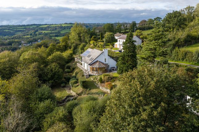 Cwmwl Yr Allt, Llandysul photo 3