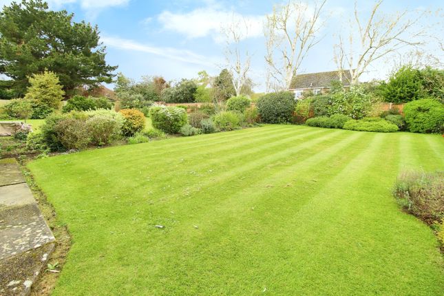 Detached house to rent in Hardwick Park Gardens, Bury St. Edmunds