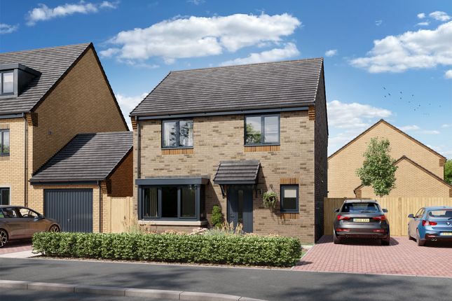 Thumbnail Detached house for sale in Kestrel Road, Corby