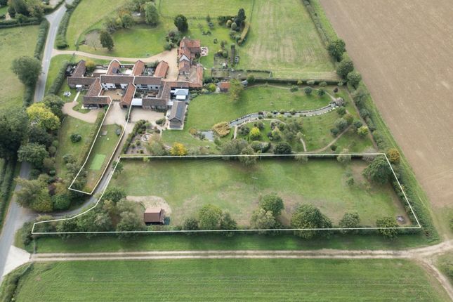 Low Common, Wymondham photo 2
