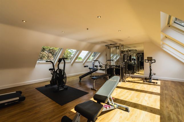 Gymnasium