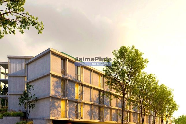 Thumbnail Hotel/guest house for sale in Senior Residence Hotel, Needing Some Improvements, 100 Rooms, Cedofeita, Santo Ildefonso, Sé, Et Al., Porto (City), Porto, Norte, Portugal